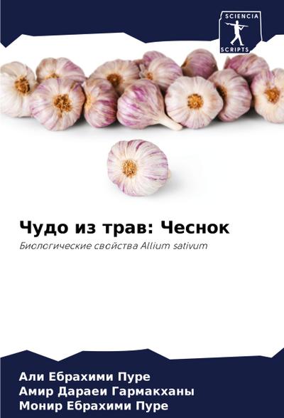 Chudo iz traw: Chesnok