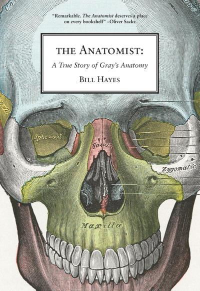 The Anatomist