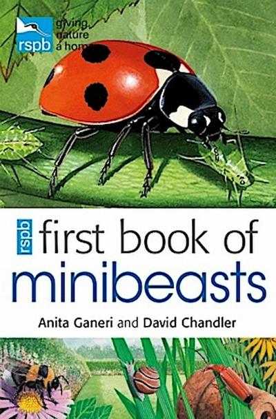 RSPB First Book Of Minibeasts