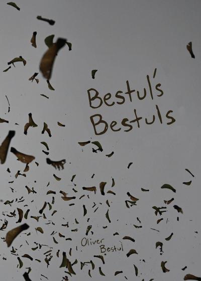 Bestul’s Bestuls