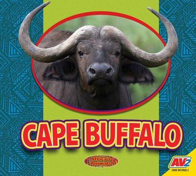 Cape Buffalo