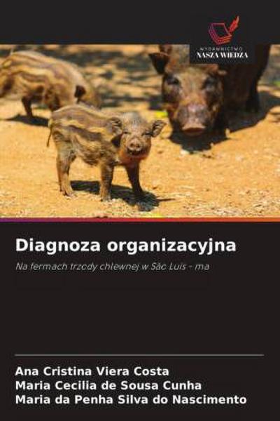 Diagnoza organizacyjna