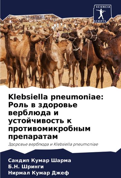 Klebsiella pneumoniae: Rol’ w zdorow’e werblüda i ustojchiwost’ k protiwomikrobnym preparatam