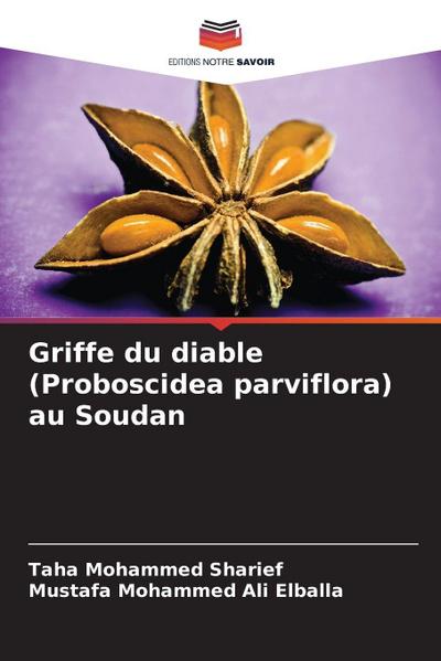 Griffe du diable (Proboscidea parviflora) au Soudan