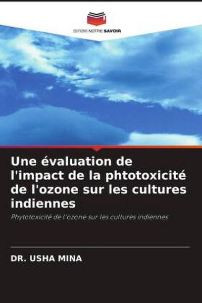 Une évaluation de l’impact de la phtotoxicité de l’ozone sur les cultures indiennes