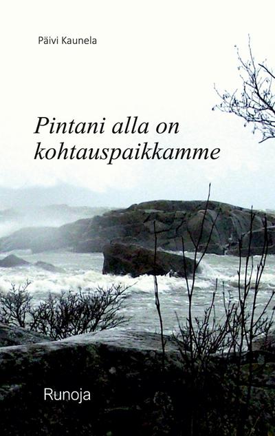 Pintani alla on kohtauspaikkamme