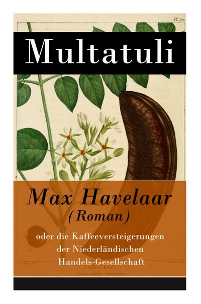 Max Havelaar (Roman)