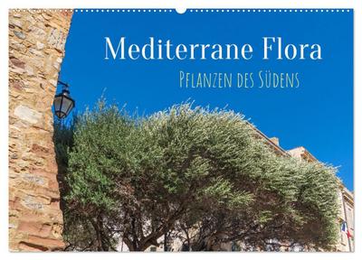 Mediterrane Flora - Pflanzen des Südens (Wandkalender 2026 DIN A2 quer), CALVENDO Monatskalender