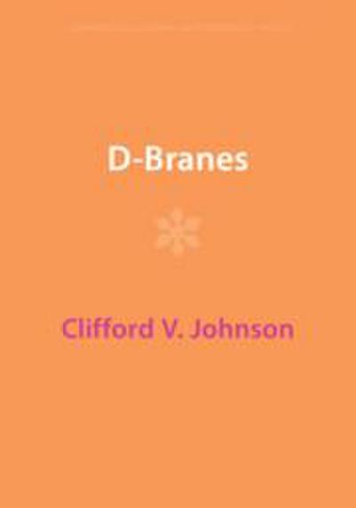 D-Branes