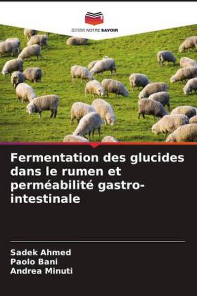 Fermentation des glucides dans le rumen et perméabilité gastro-intestinale