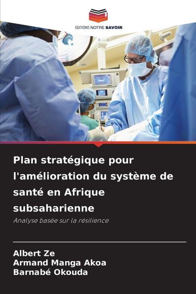 Plan stratégique pour l’amélioration du système de santé en Afrique subsaharienne