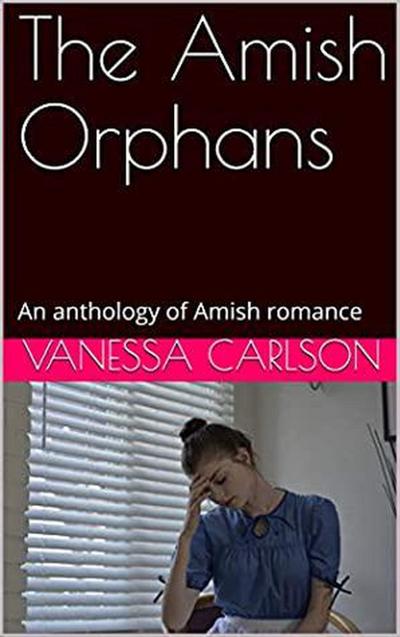 The Amish Orphans