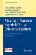 Advances in Nonlinear Hyperbolic Partial Differential Equations