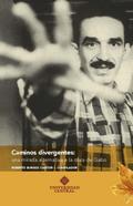 Caminos divergentes: una mirada alternativa a la obra de Gabo