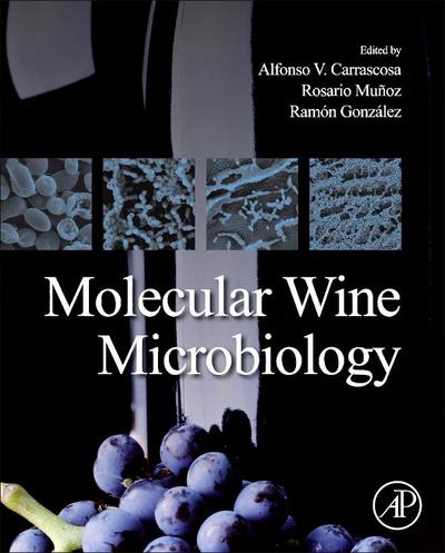 Molecular Wine Microbiology