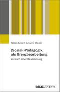 (Sozial-)Pädagogik als Grenzbearbeitung