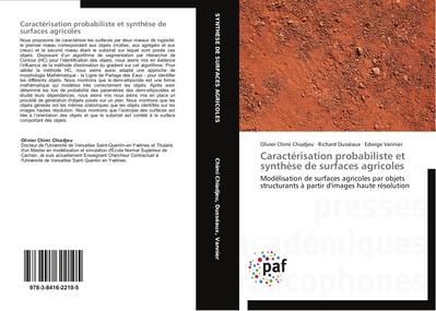 Caractérisation probabiliste et synthèse de surfaces agricoles