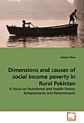 Dimensions and causes of social income poverty in 