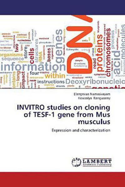 INVITRO studies on cloning of TESF-1 gene from Mus musculus
