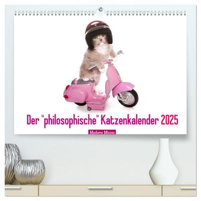 Der "philosophische" Katzenkalender 2025 (hochwertiger Premium Wandkalender 2025 DIN A2 quer), Kunstdruck in Hochglanz