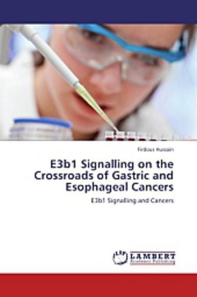 E3b1 Signalling on the Crossroads of Gastric and Esophageal Cancers