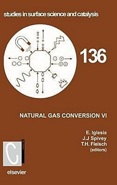 Natural Gas Conversion VI