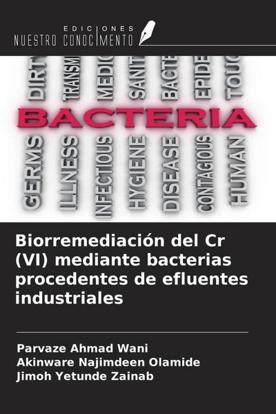 Biorremediación del Cr (VI) mediante bacterias procedentes de efluentes industriales