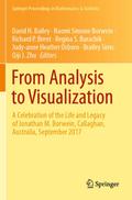 From Analysis to Visualization