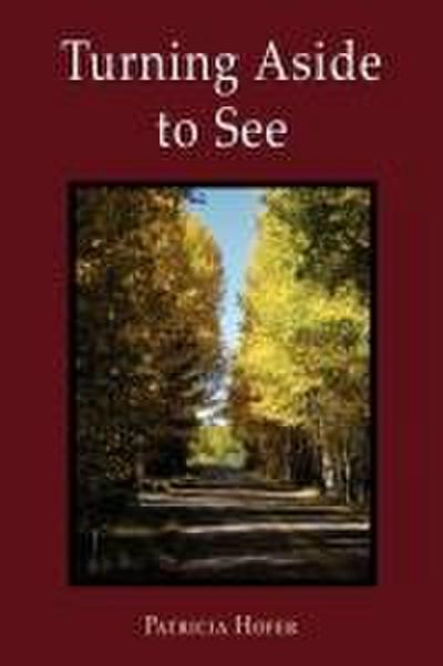 Turning Aside to See