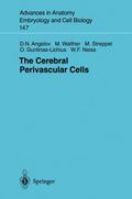 The Cerebral Perivascular Cells