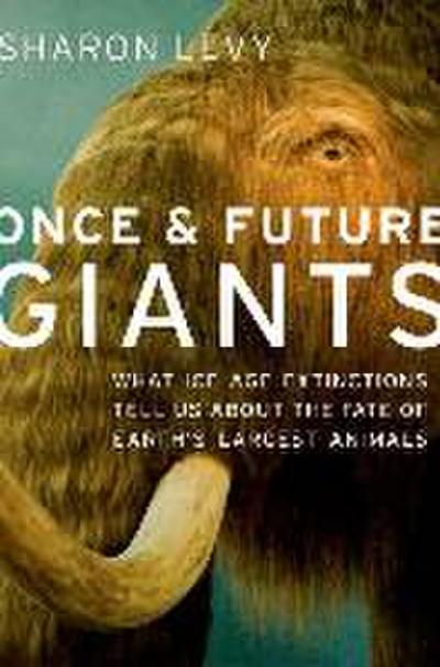 Once & Future Giants