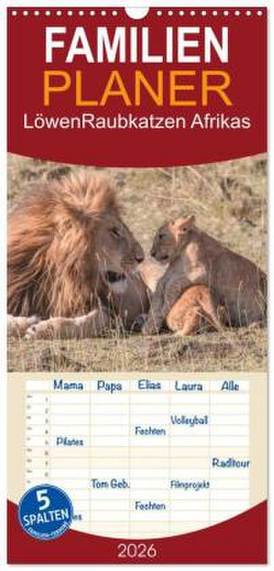 Familienplaner 2026 - Löwen - Raubkatzen Afrikas mit 5 Spalten (Wandkalender, 21 x 45 cm) CALVENDO