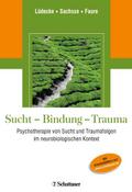 Sucht, Bindung, Trauma