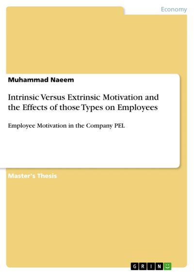 Intrinsic Versus Extrinsic Motivation and the Effects of those Types on Employees