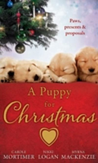 A PUPPY FOR CHRISTMAS