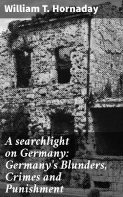 A searchlight on Germany: Germany’s Blunders, Crimes and Punishment
