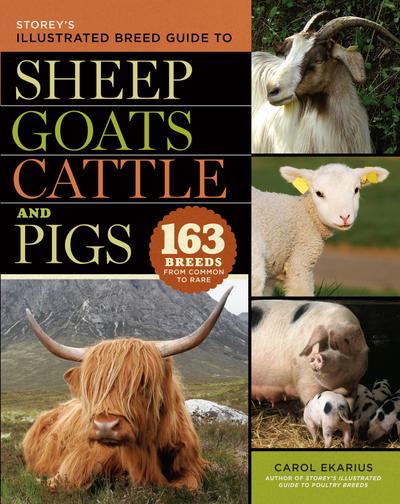 Storey’s Illustrated Breed Guide to Sheep, Goats, Cattle and Pigs