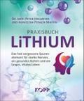 Praxisbuch Lithium