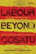 Labour Beyond Cosatu