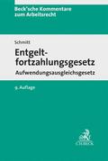 Entgeltfortzahlungsgesetz. EFZG AAG