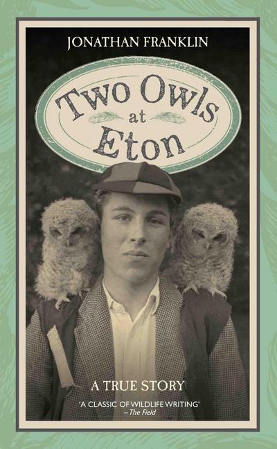 Two Owls at Eton - A True Story