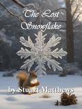 The Lost Snowflake