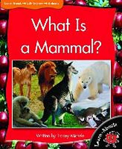 What Is a Mammal?