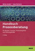 Handbuch Prozessberatung