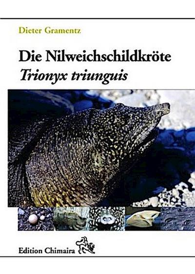Die Nilweichschildkröte