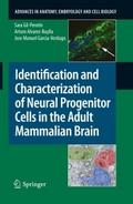 Identification and Characterization of Neural Prog