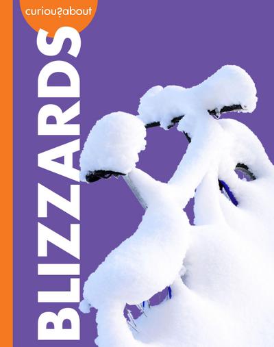 Curious about Blizzards