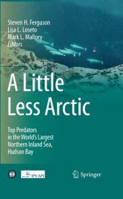 A Little Less Arctic