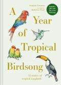 A Year of Tropical Birdsong