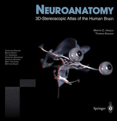 Neuroanatomy